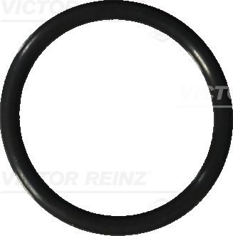VICTOR REINZ Уплотнительное кольцо, резьбовая пробка маслосливн 40-76041-20